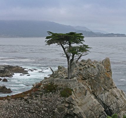 Voyage à Monterey, Carmel, Pacific Coast, San Simeon, San Luis Obispo