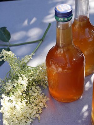 Elderflower cordial (sirop de fleurs de sureau)