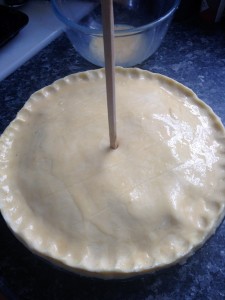 chicken-pie