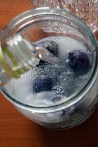 Sloe gin (gin aux Prunelles)