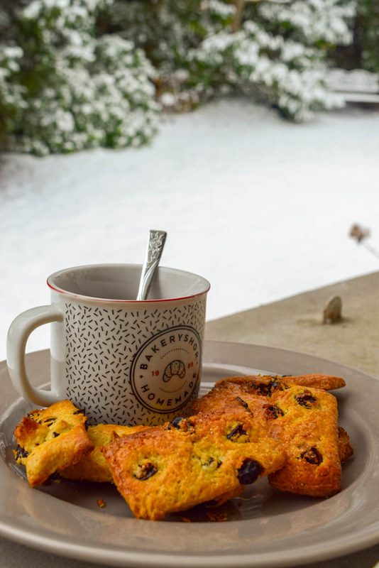 Garibaldi biscuits (biscuits traditionnels anglais)