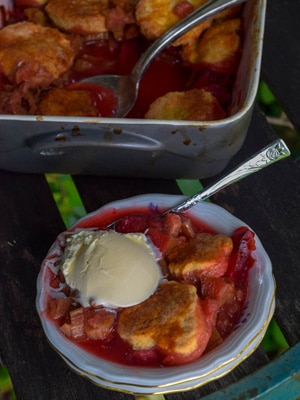 Cobbler de rhubarbe et prunes à la vanille et badiane (dessert facile)