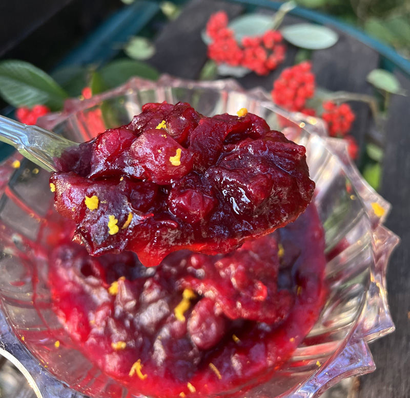 Sauce cranberry (sauce aux airelles pour les fêtes)