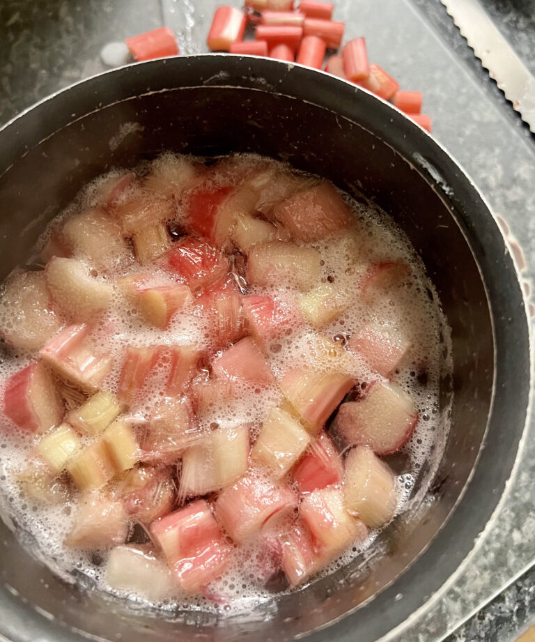 Tout savoir sur la Rhubarbe forcée anglaise