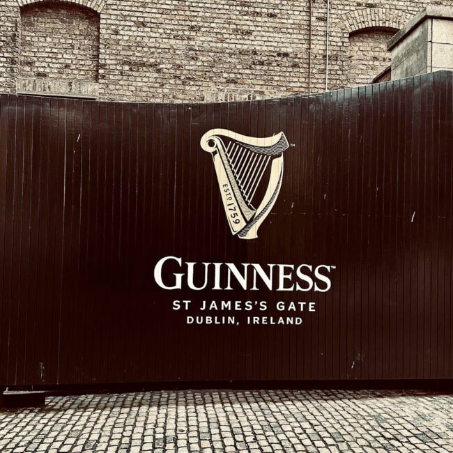 Tout savoir sur la Guinness