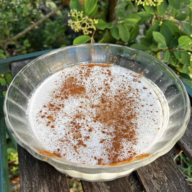 Le Junket pudding du Devonshire