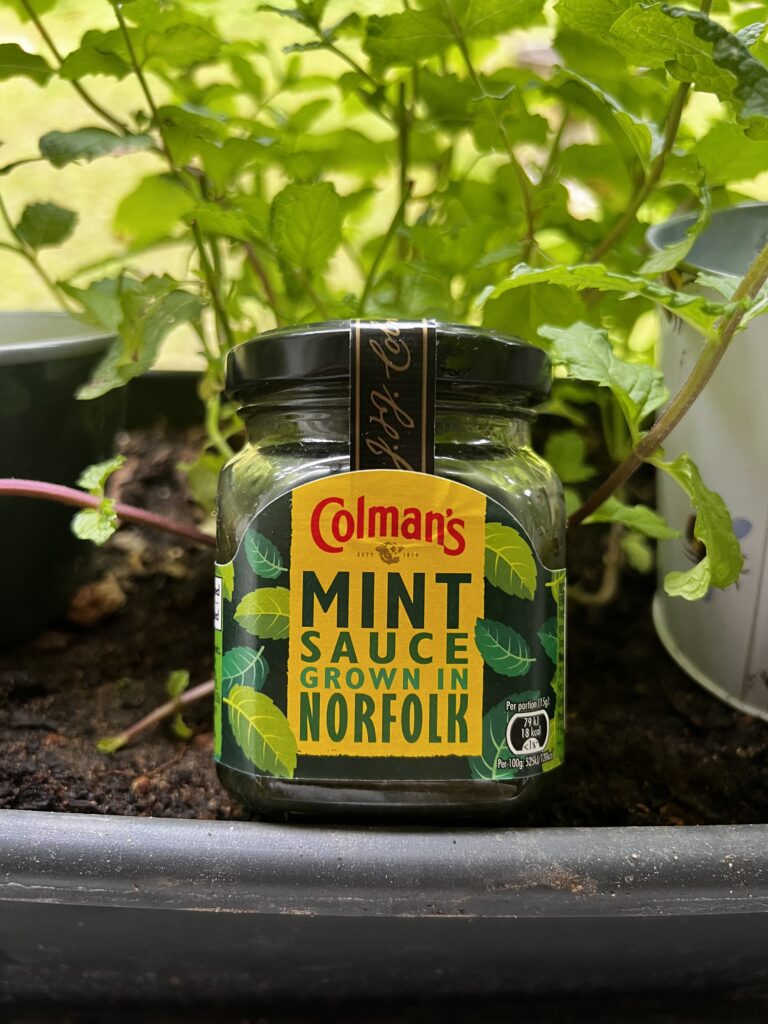 Mint sauce (sauce à la menthe anglaise)