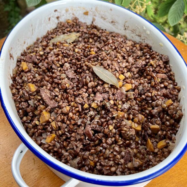 Lentilles braisées au vin rouge