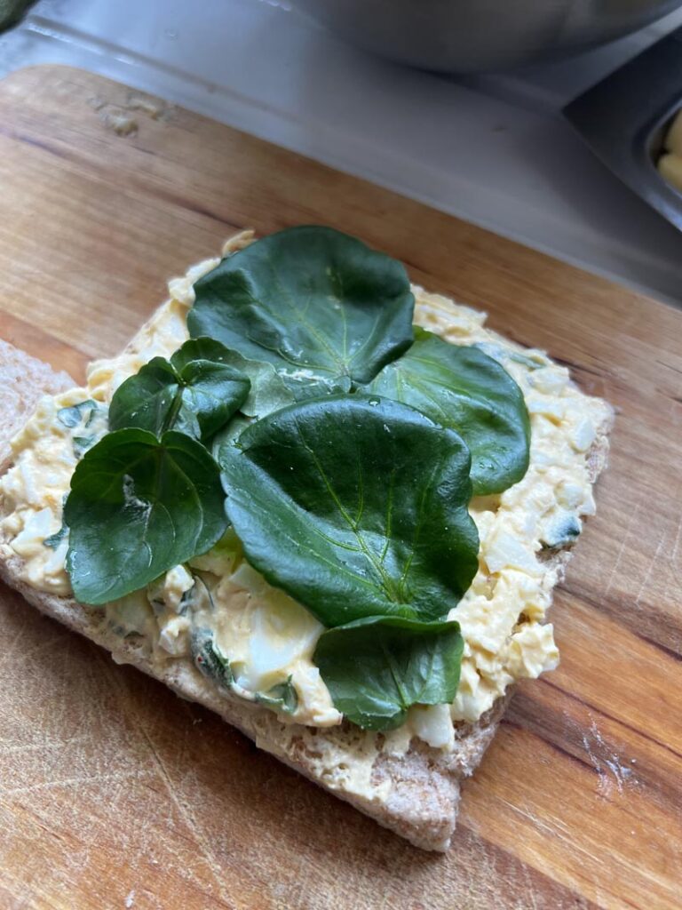 Sandwichs anglais à l’œuf et cresson