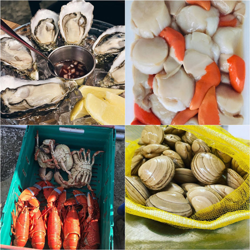 Coquillages et mollusques en Écosse