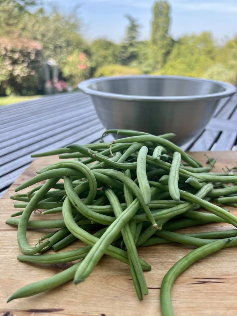 Salade de haricots verts à la sauce au thon