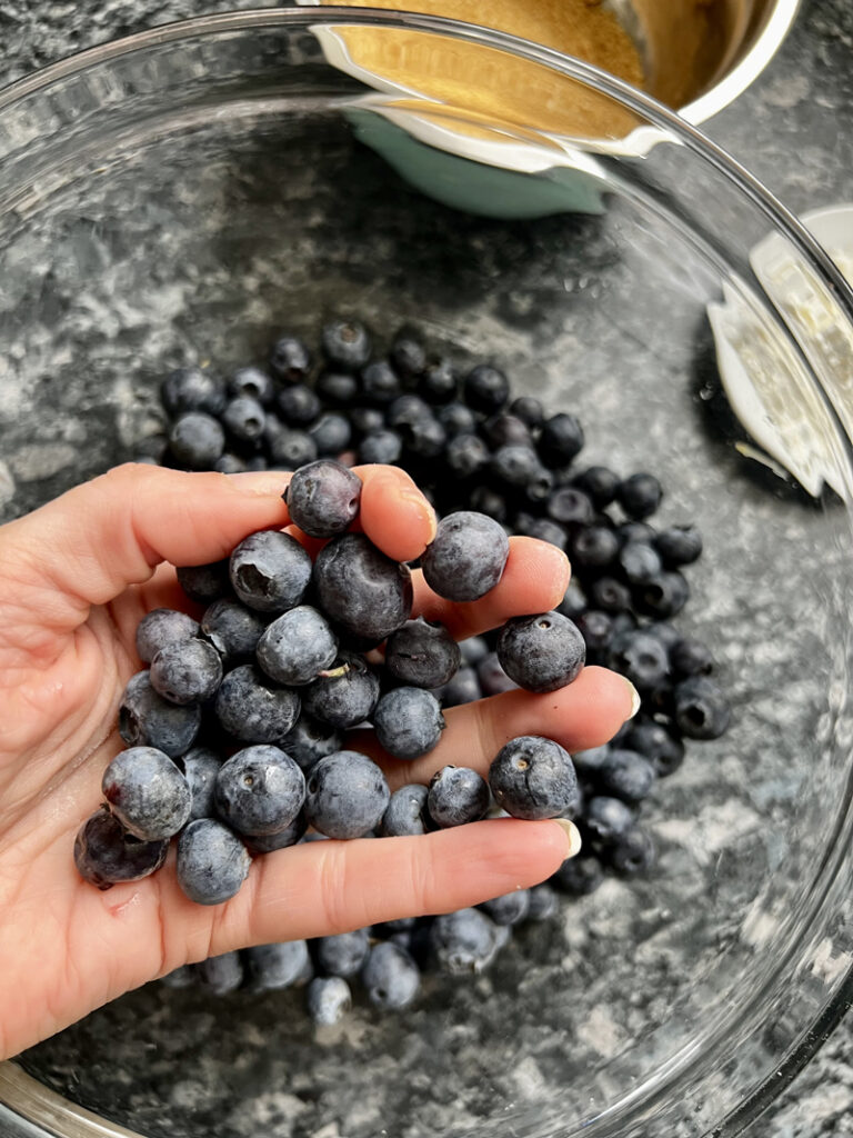Blueberry pie