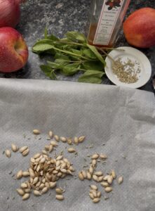 Salade croquante de pomme, oignon rouge, menthe et graines de courge