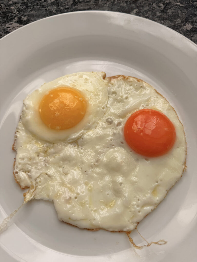 Les œufs Mabel Pearman’s Burford Browns – Clarence Court