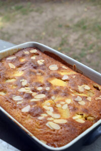 Eve's pudding